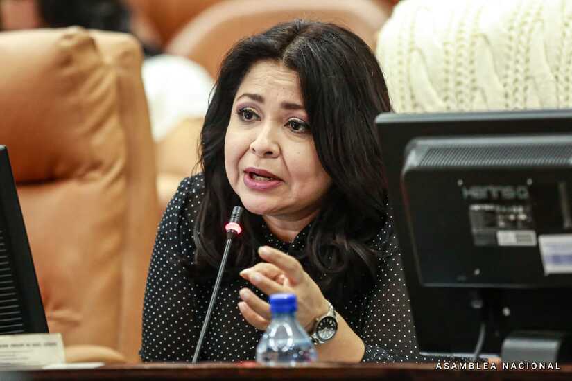 DIPUTADOS